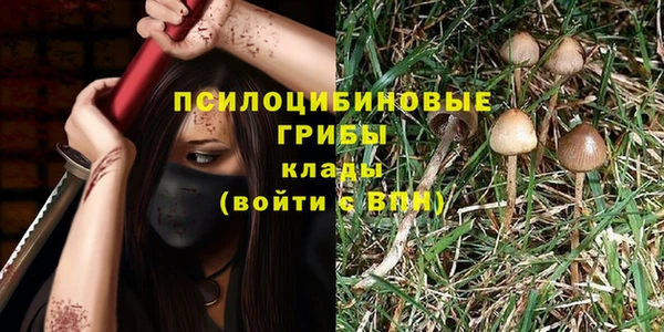 прущая мука Александровское