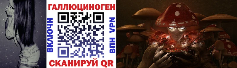 Псилоцибиновые грибы GOLDEN TEACHER  Купить закладки  Троицк 